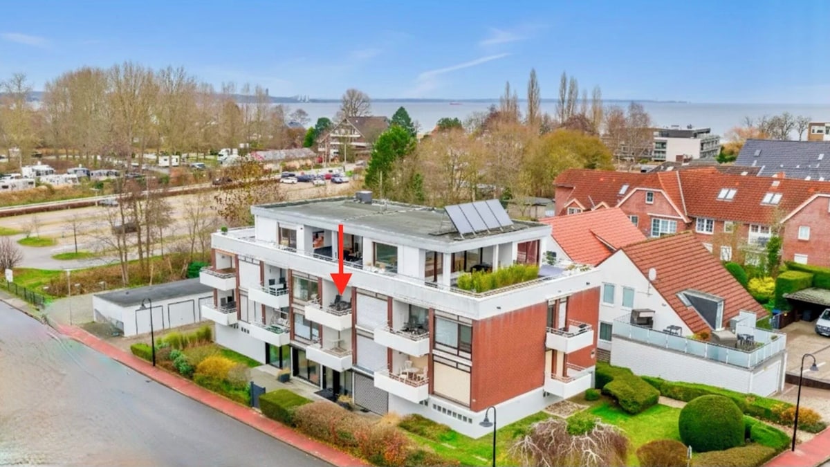Seemöwe Scharbeutz 5