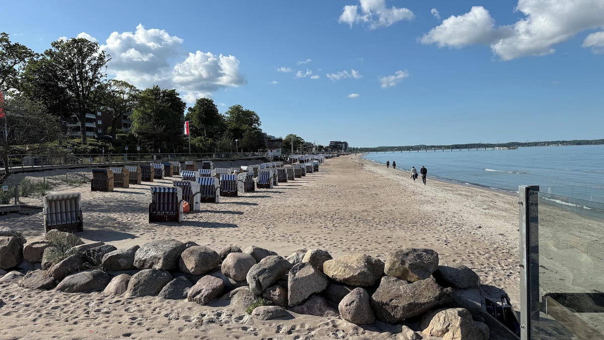 Seemöwe Scharbeutz